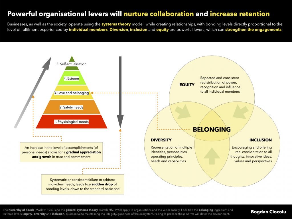 Diversity, inclusion and equity, George Floyd, Bogdan Ciocoiu